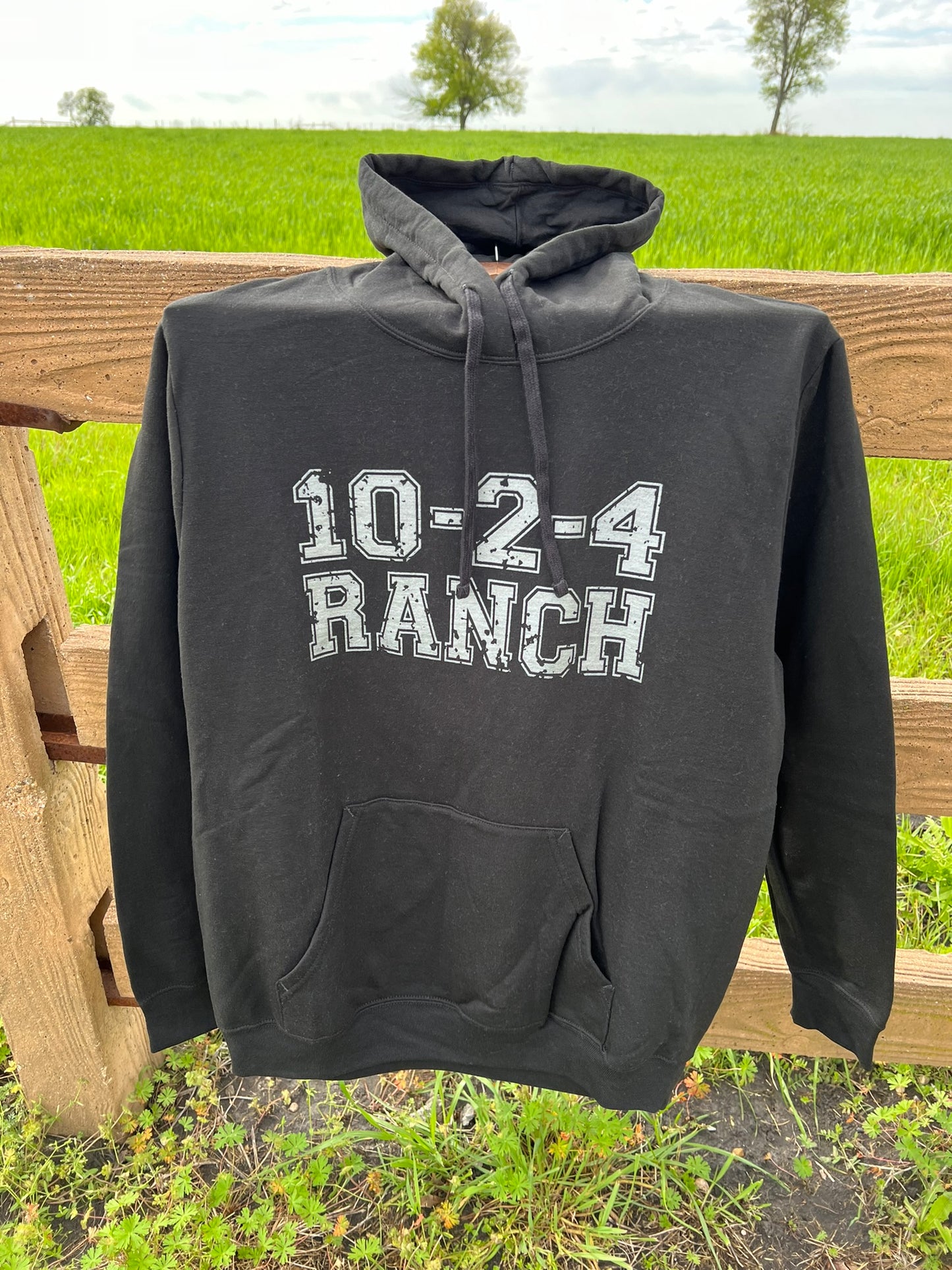 Solid Logo Hoodie