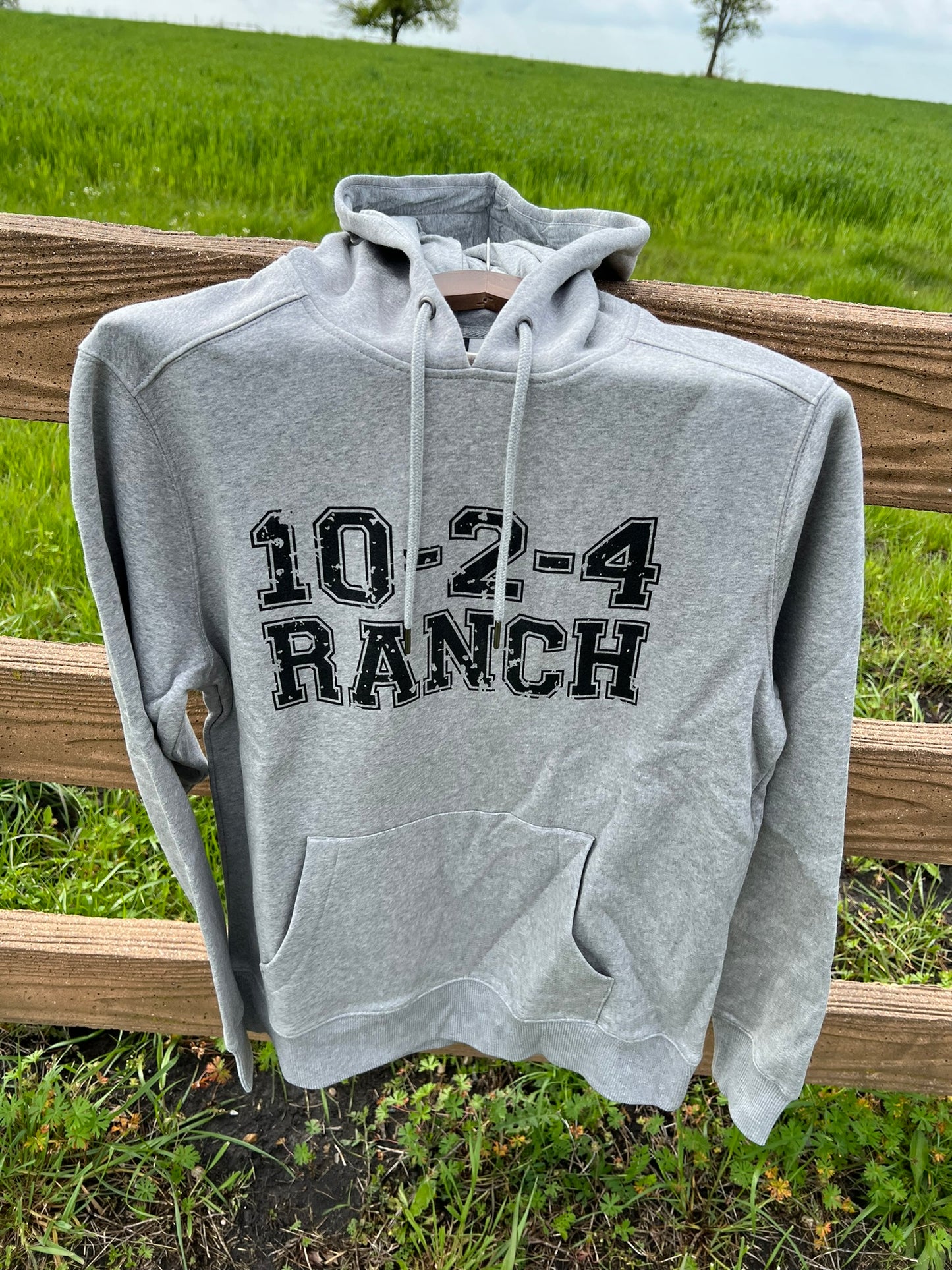 Heather Logo Hoodie