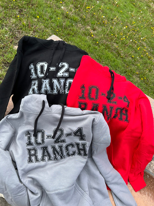 Solid Logo Hoodie